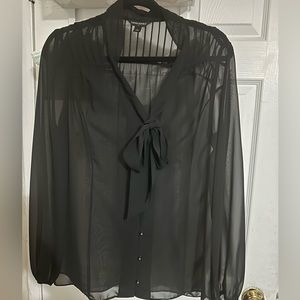 Banana Republic Sheer Dress Shirt